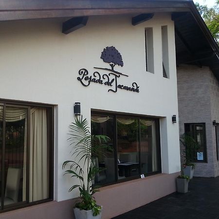 Posada Del Jacaranda بويرتو إجوازو المظهر الخارجي الصورة